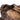 RosCo Guide Pro insulated hunting jacket in Reedlight™ camo with PrimaLoft® fill.