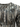 AeroLite Realtree Legacy